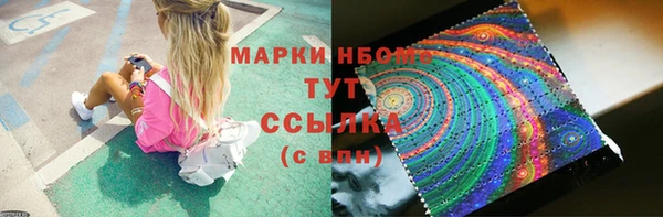 хмурый Алзамай